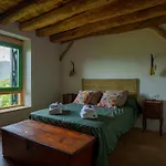 Borda Vinuels