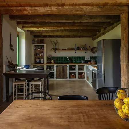 Domek alpejski Borda Vinuels Planillo