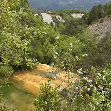 Borda Vinuels Planillo