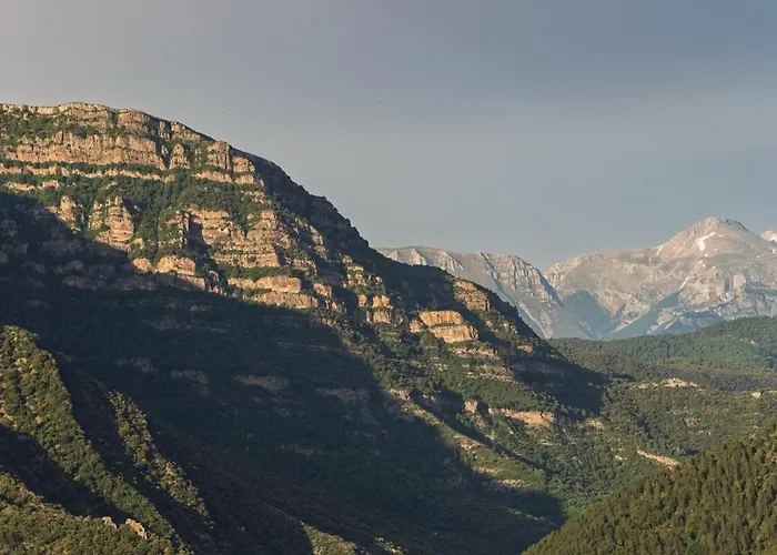 Borda Vinuels Panillo